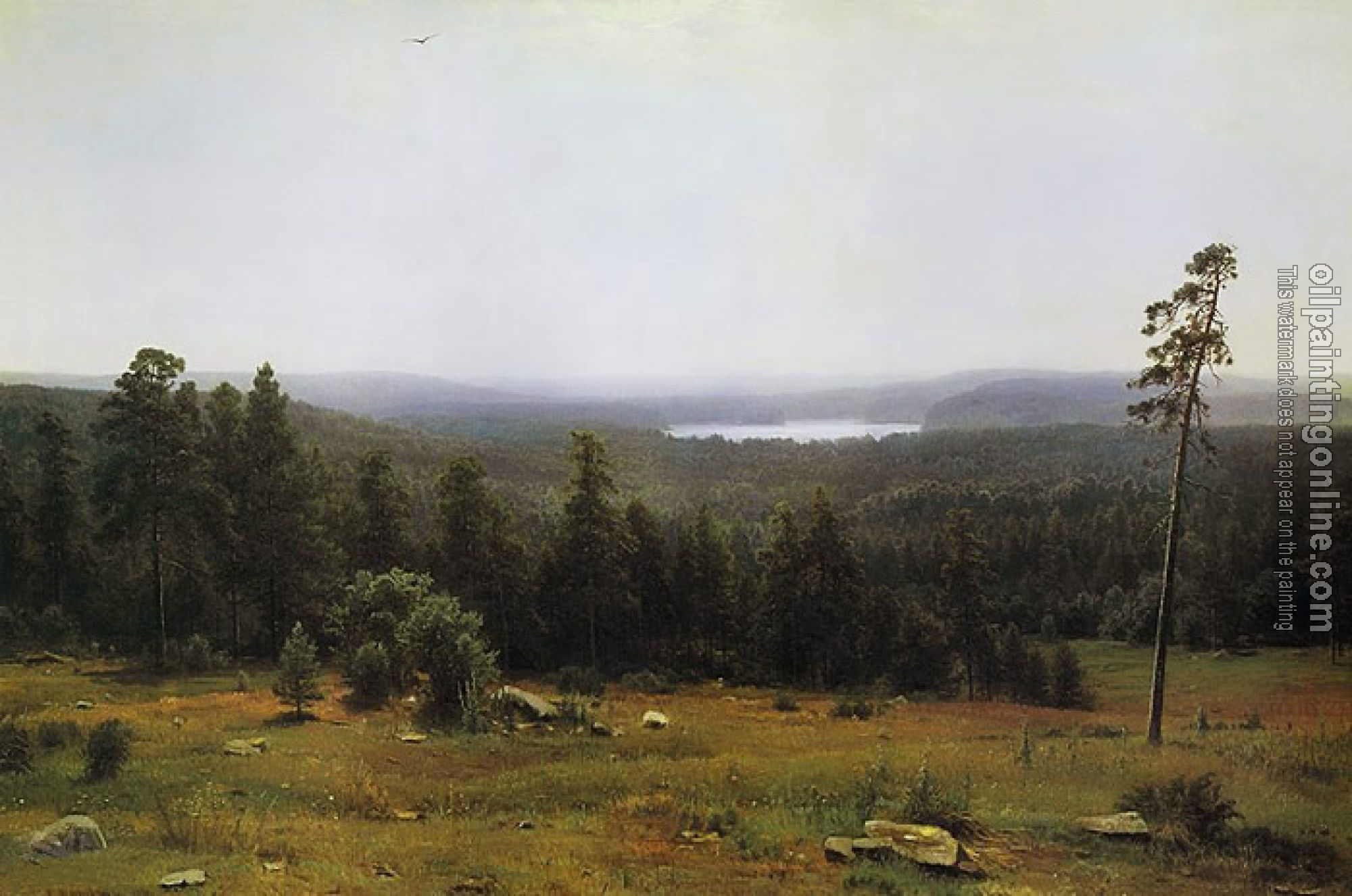 Ivan Shishkin - The Forest Horizons